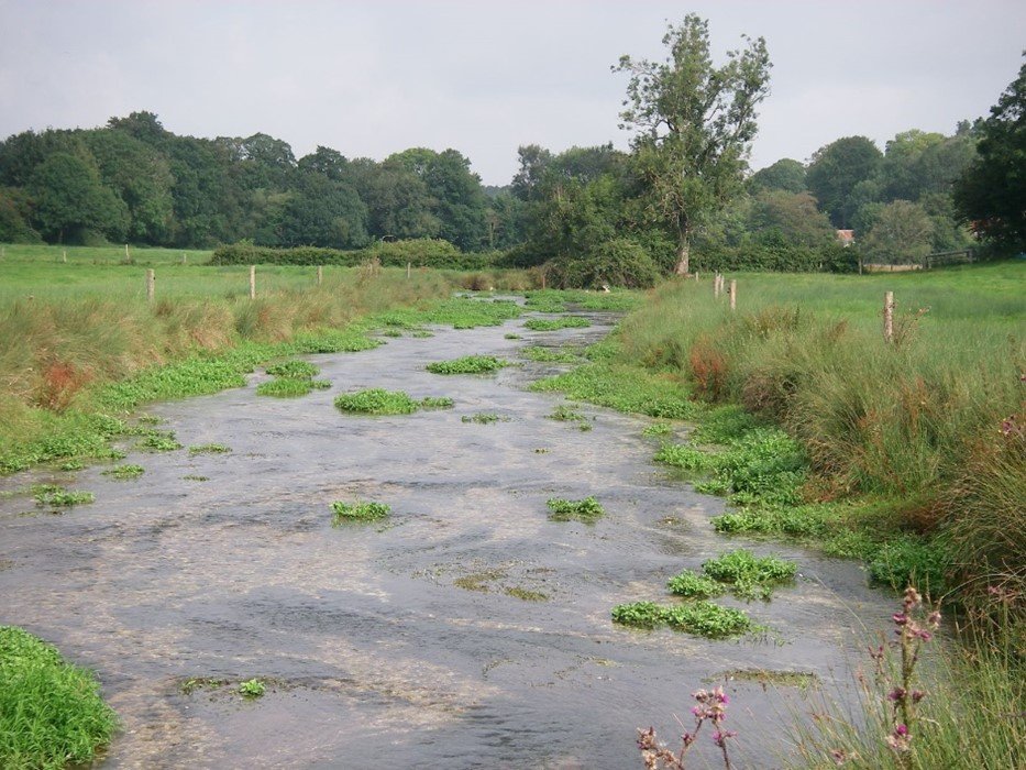 Does good quality stock fencing along stream sides help fish and wildlife – a study