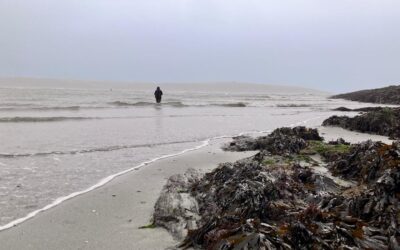 Tracking Atlantic Salmon in the Ocean