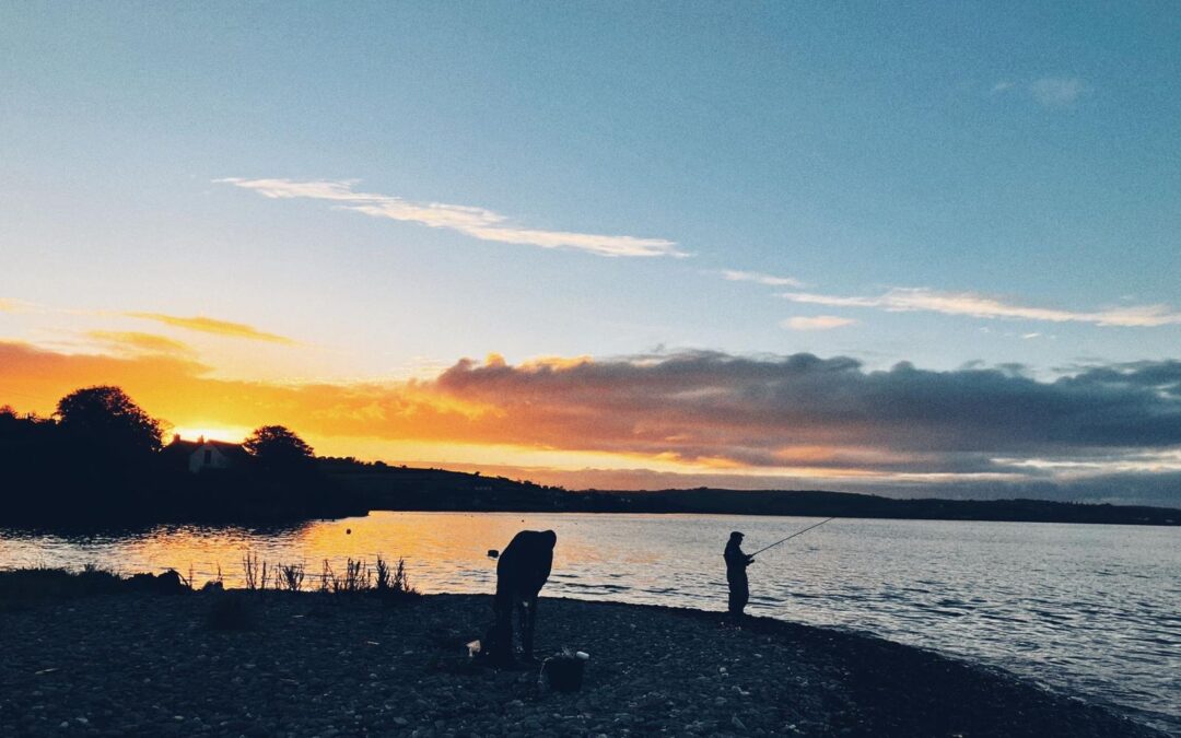 Salmon and Trout Smolt Migration in River Estuaries